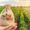 Curso de Tributação e Contabilidade no Agronegócio – 09/08/2022