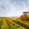 Curso de Tributação e Contabilidade no Agronegócio – Turma 6 – 06/08/2024